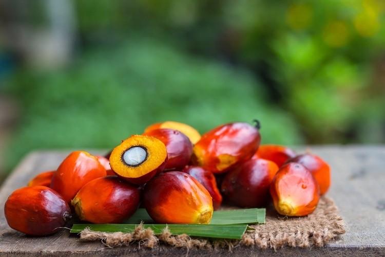 DMSI Presents Awards To Palm Oil Innovators