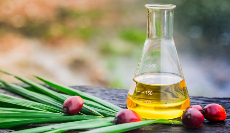 Production Low, Palm Oil Price Stays High