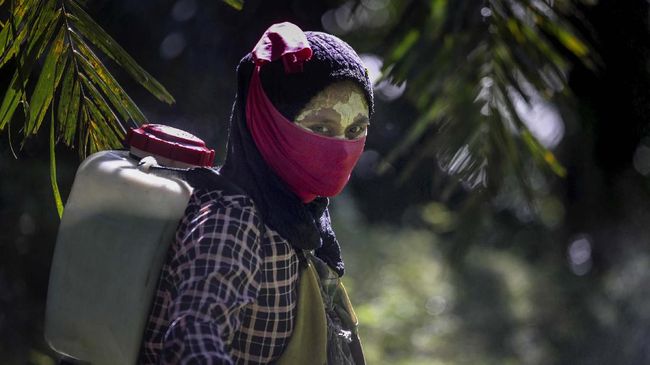 Allegation Of Female Labor Exploitation Harms Palm Oil