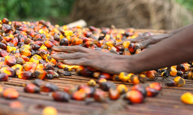 Crude Palm Oil Price Predicted To Stay High in 2022