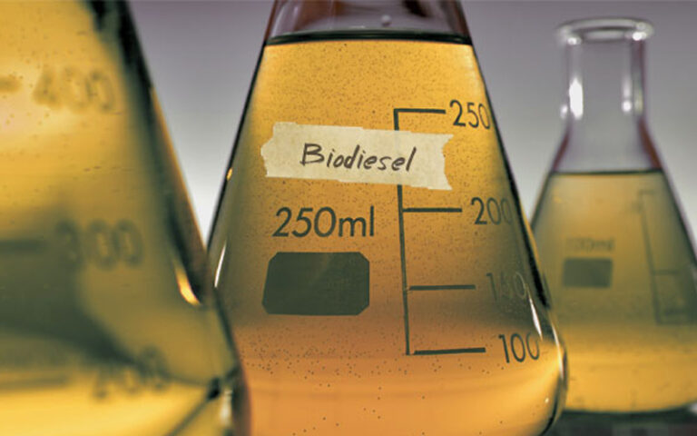 RI Projects Biodiesel Export To EU To Grow By 6.7% In 2026