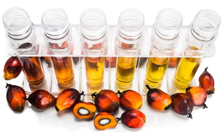 OPINION: RI’s Biodiesel: Look Inward To Move Forward