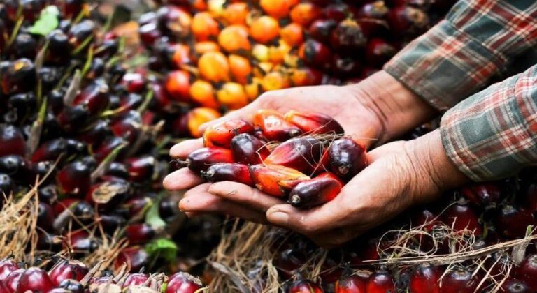 Export Value Reaches Highest Record