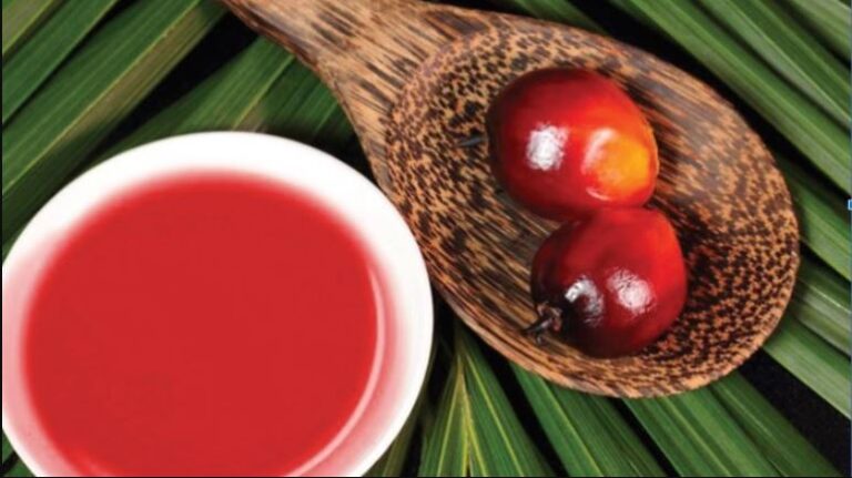 Palm Oil Richest In Vitamin A, Potential To Make RI Self-Reliant