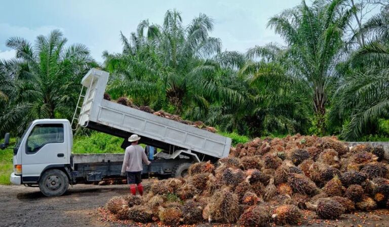 EXPORTS GROWING
