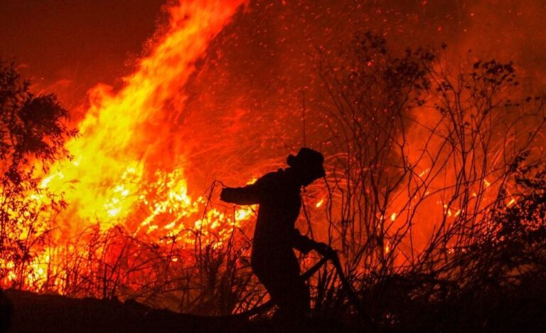Forest Fires 2023 Drops 30.80%