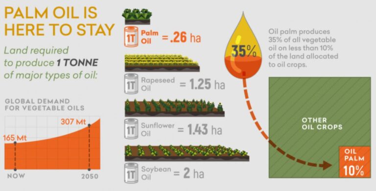 What Happens If Palm Oil Replaced With Other Oils?