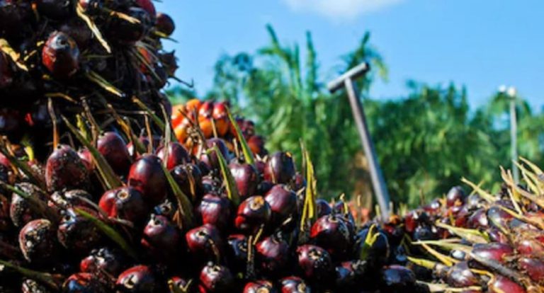 GAPKI To Hold “17th Indonesian Palm Oil Conference and 2022 Price Outlook”