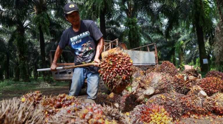 Anti-Palm Oil NGOs Protect The Environment | Myth & Facts 2-09