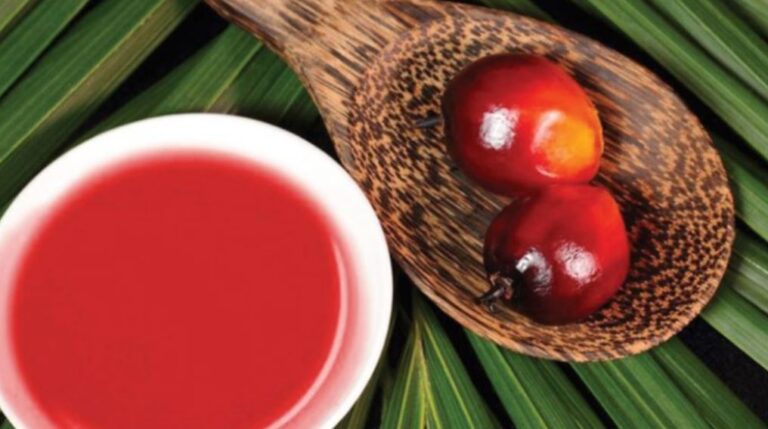Getting Deeper Into Red Palm Oil And Palm Oil