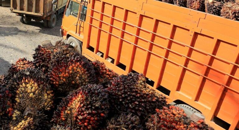 Exports Drop, Stock Surges