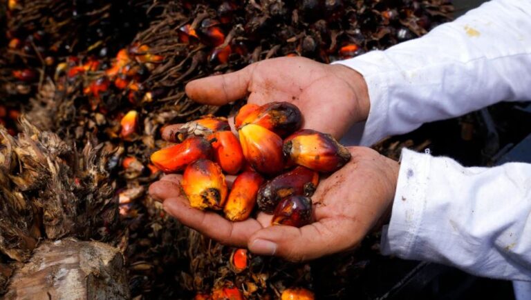 Exports Rise, But Stock Still High