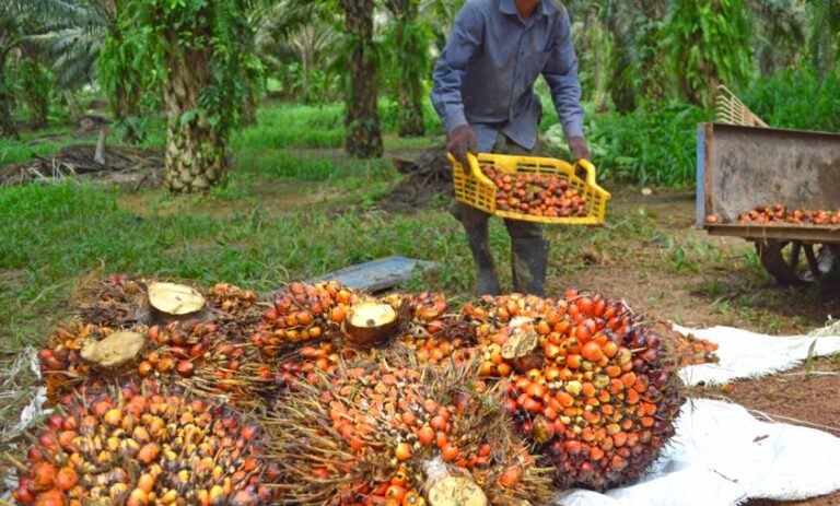 Export Rises, Stock Returns To Normal