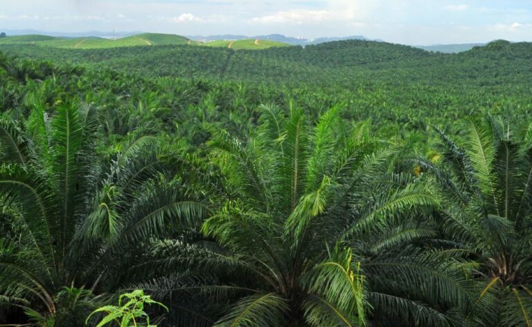 Minister Hanif: RI Accelerates Transition Toward Green Economy