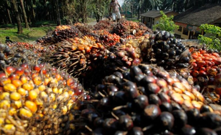 March 2023: Production Picks Up, Stock Surges