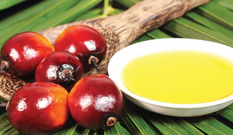 SVOC: Vegoils Producers To Ensure Food And Energy Security