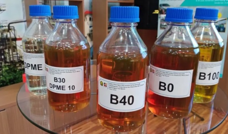 Govt Will Start B40 Program In January 2025