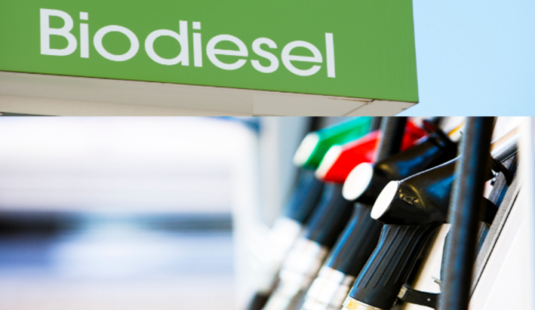 Does Palm Biodiesel Contribute To Reduce Emissions?