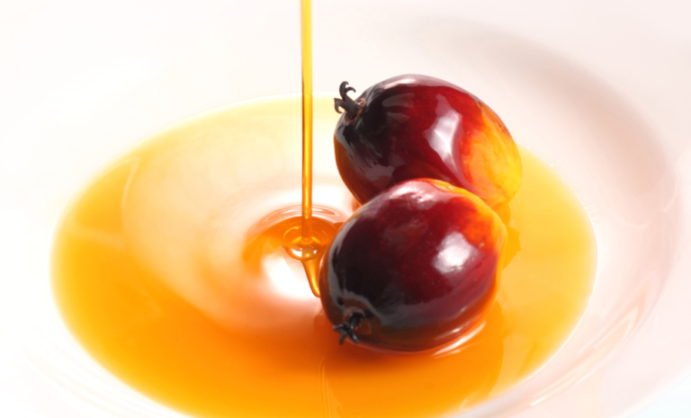 Accused As Cancer Trigger, Palm Oil Proven As Cancer Blocker