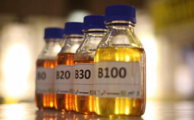 RI To Apply B50 As A Means To Boost Global Bargaining Position