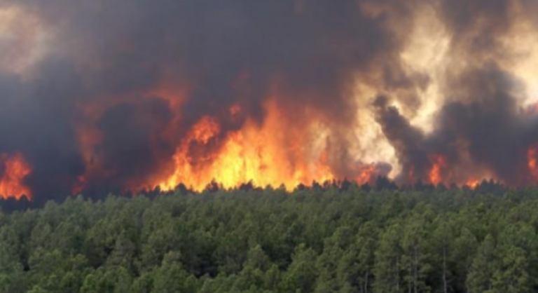 GAPKI Becomes National Model In Preventing Forest Fires
