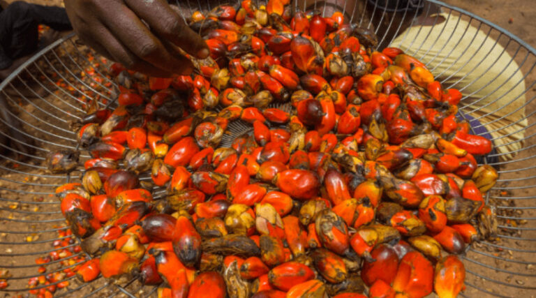 Production & Export Rises, Stock Declines