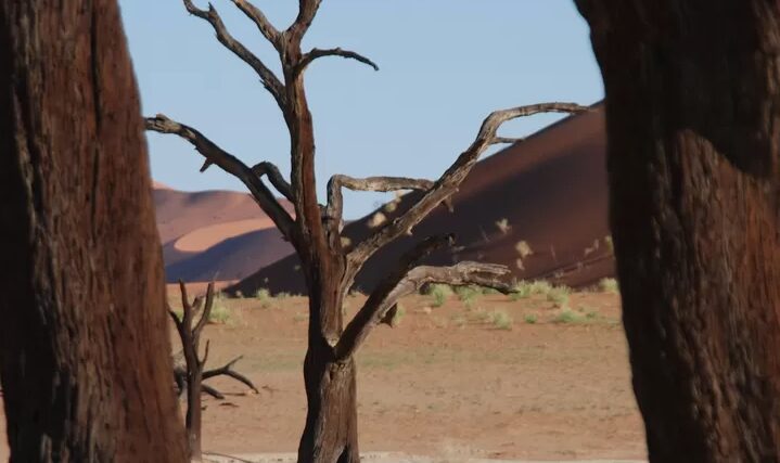 Minister Siti: Forest Watch Methodology Illogical