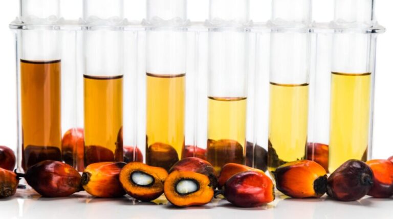 Pondering Vegetable Oils From Nutrition And Health Sides