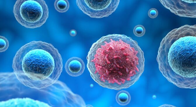 Palm Oil Can Prevent Cancer