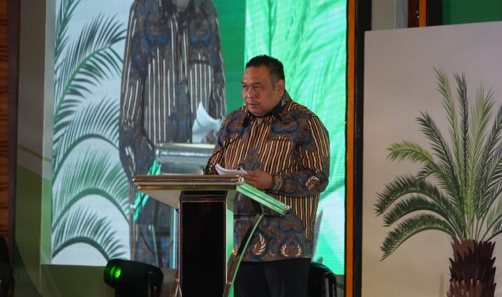 RI To Develop Papua As Island Of Renewable Energy Center