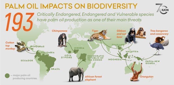 RI Obliges Business Players To Protect Wild Animals