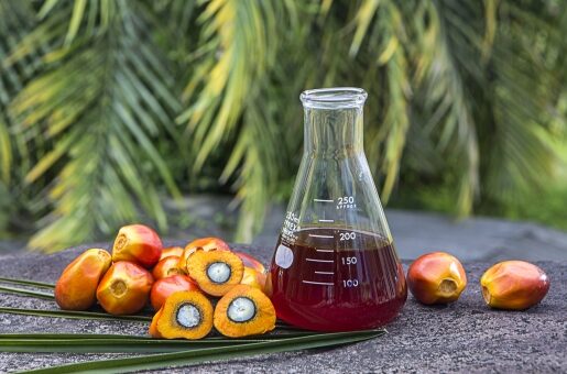 Kemenperin Inaugurates Pilot Fractionation Plant of Oil Palm