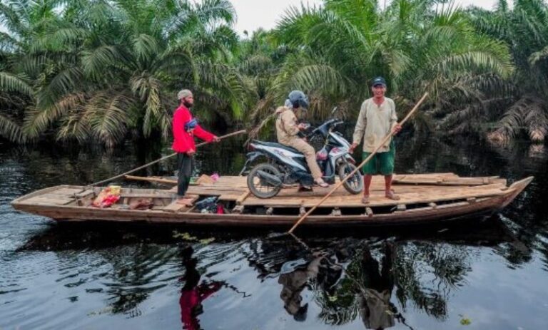 OPINION: Next Govt Should Make Breakthrough To Boost Palm Industry