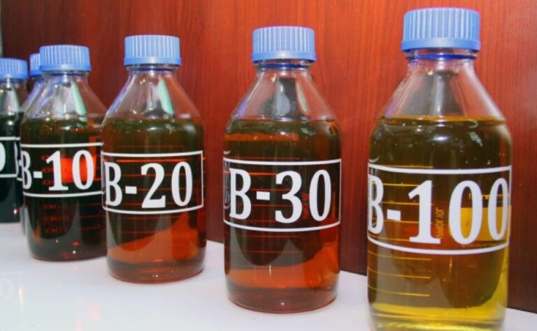 GAPKI Proposes Specially Dedicated Areas For Biodiesel