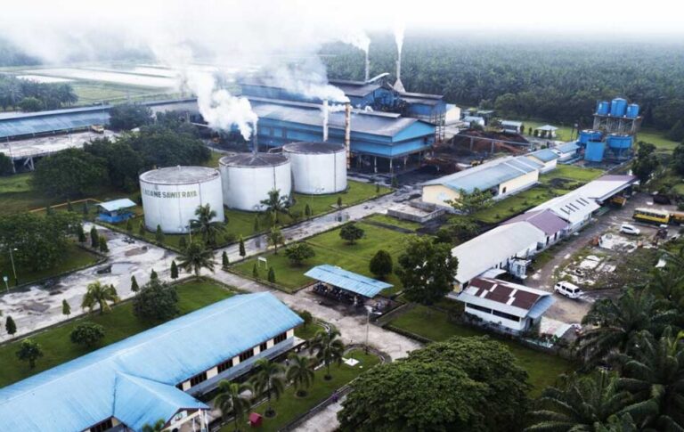 Govt Finalizing ISPO Regulation For Downstream Palm Products