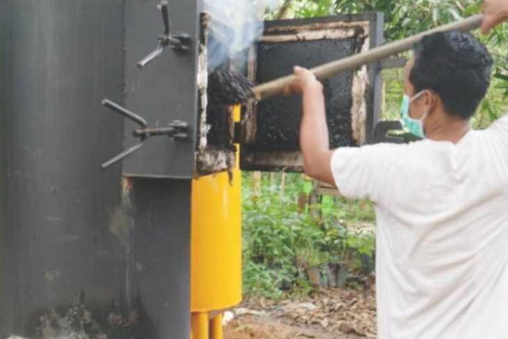 Solid Palm Wastes Can Be Processed Into Natural Insecticide