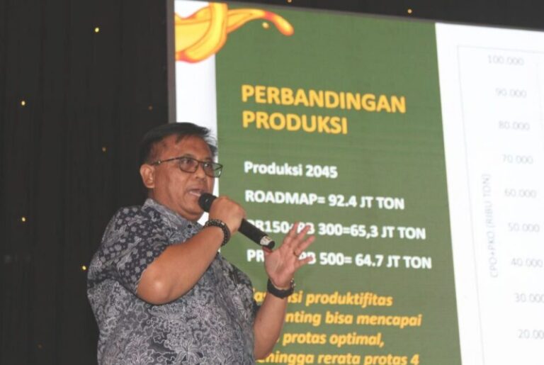 GAPKI Asks for Legal Certainty To Grow Palm Oil Stronger