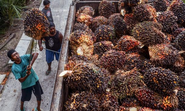 EU To Delay Import Rules After Many Countries’ Complaints