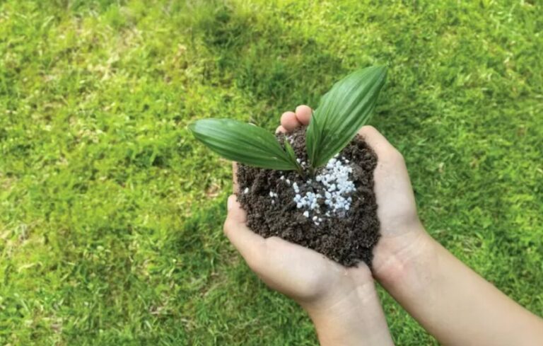 Govt Prepares Palm Oil Roadmap For Golden Indonesia 2045