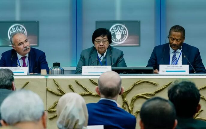 FAO Recognizes Deforestation Decrease In Indonesia