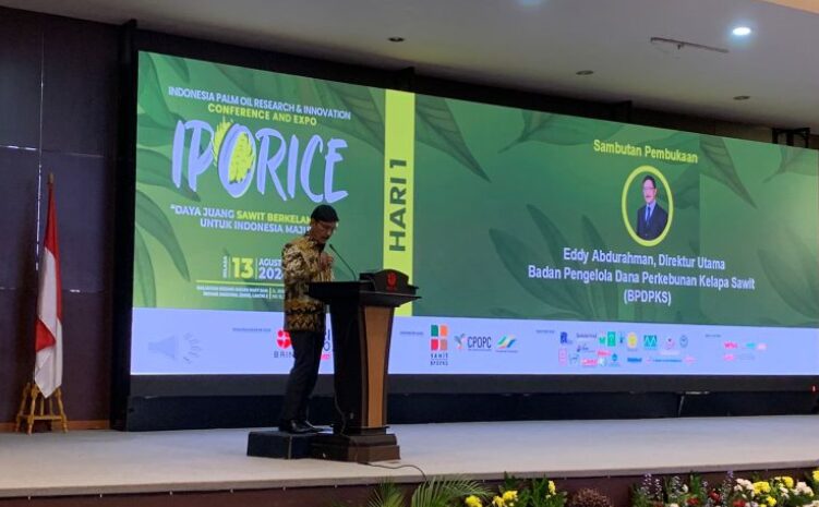 BPDPKS: RI Needs Researches On Palm Global Position