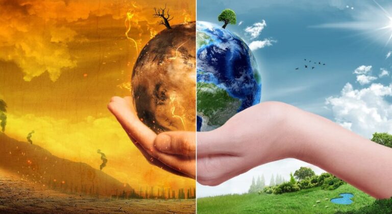 Palm Oil And Global Warming: Fabricated or Factified Relation?