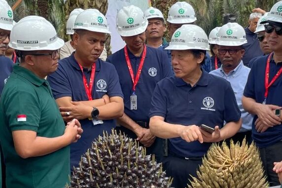 FAO: Palm Oil Keeps Stability Of Global Food Supply