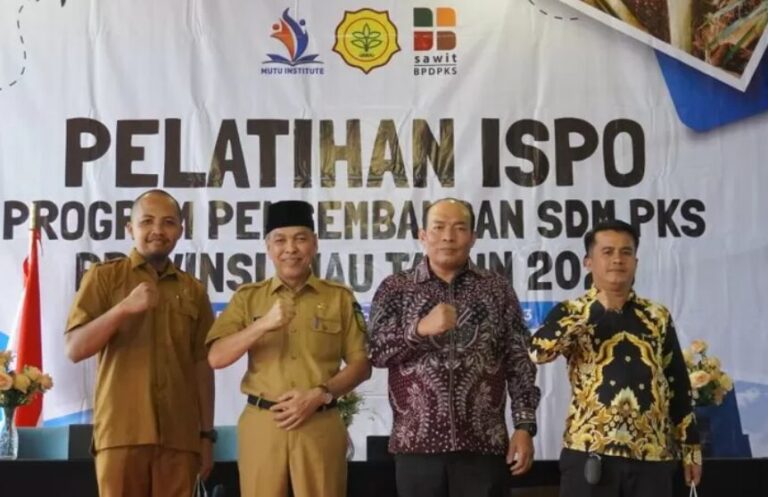 Govt Revising ISPO Regulation To Strengthen Palm Industries