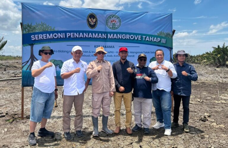 Palm Oil Players Rehabilitates Mangrove Forest in Kalimantan