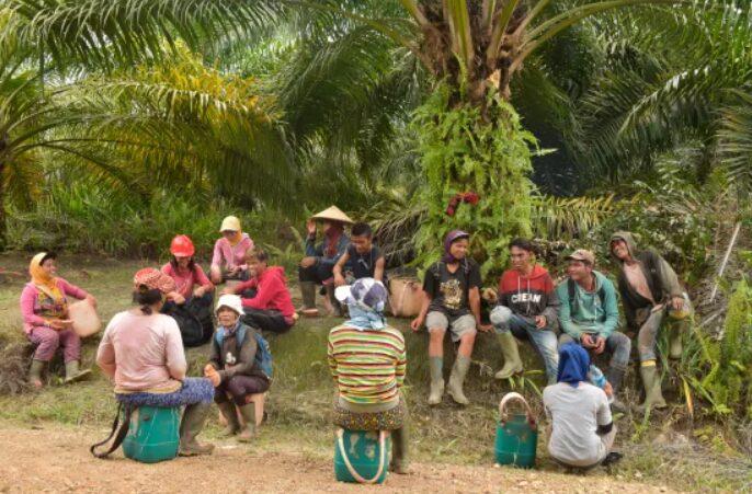 Is Freedom of Association In Palm Industry Restricted?