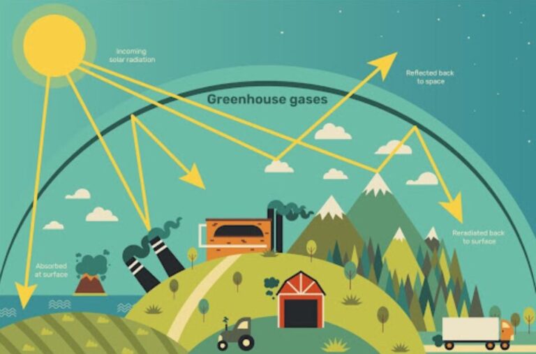Assessing LULUCF Contribution To Global GHG Emission