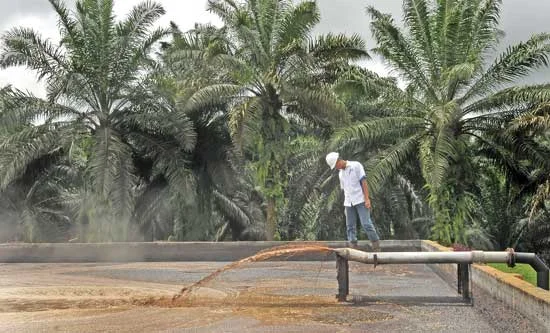 Palm Stakeholders Asked To Make All Wastes More Valuable