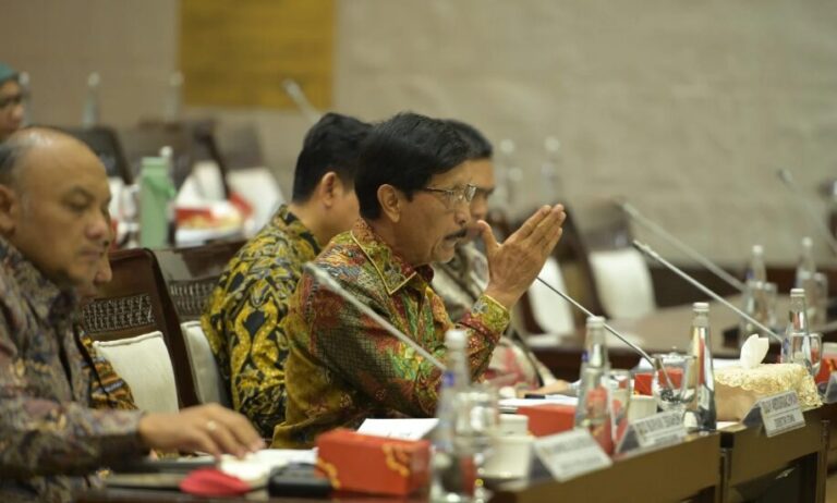 Smallholders’ Replanting In 2024 Reaches 38,247 Ha