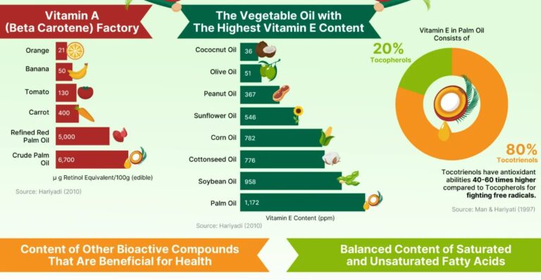 Palm Oil: Superfood Rich In Nutrition, Vitamin, Antioxidant